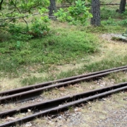 Gleise am Waldrand.
